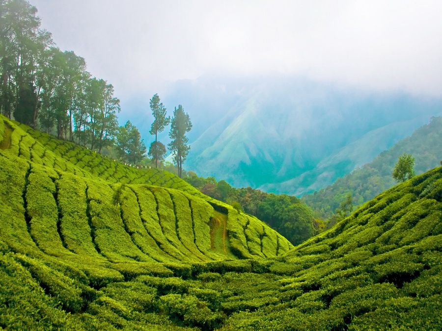 Kerala-1